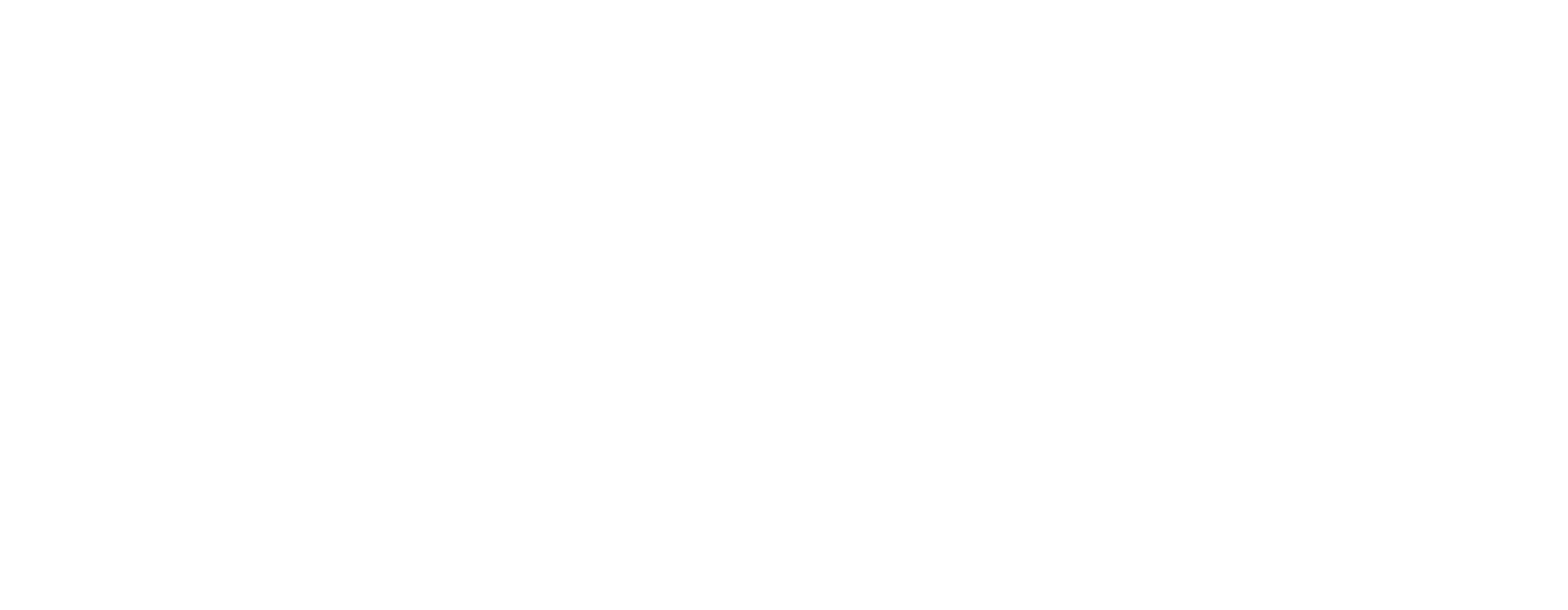 Fulvic Sport